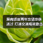 屏南项目两年攻坚终获通过 打通交通瓶颈助当地发展(图4) 屏南项目两年攻坚终获通过 打通交通瓶颈助当地发展(图4)