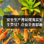安全生产月如何落实安全责任?企业全面部署推动安全发展 安全生产月如何落实安全责任?企业全面部署推动安全发展