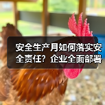 安全生产月如何落实安全责任？企业全面部署推动安全发展（图4）