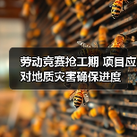 劳动竞赛抢工期 项目应对地质灾害确保进度(图4) 劳动竞赛抢工期 项目应对地质灾害确保进度(图4)