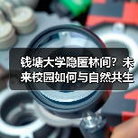 钱塘大学隐匿林间?未来校园如何与自然共生 钱塘大学隐匿林间?未来校园如何与自然共生