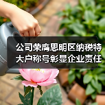 公司荣膺思明区纳税特大户称号彰显企业责任（图2）