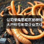 公司荣膺思明区纳税特大户称号彰显企业责任（图3）