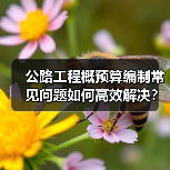 公路工程概预算编制常见问题如何高效解决?同望软件应用培训 公路工程概预算编制常见问题如何高效解决?同望软件应用培训