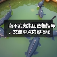 南平武夷集团莅临指导，交流重点内容揭秘（图3）