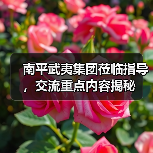 南平武夷集团莅临指导，交流重点内容揭秘（图4）