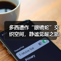 多西遗作“眼镜蛇”交织空间,静谧觉醒之旅(图2) 多西遗作“眼镜蛇”交织空间,静谧觉醒之旅(图2)