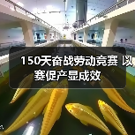 150天奋战劳动竞赛 以赛促产显成效（图2）