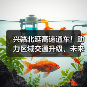 兴赣北延高速通车！助力区域交通升级，未来出行更便捷？（图3）
