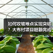 如何攻破难点实现突破?大布村项目超额完成年度目标 如何攻破难点实现突破?大布村项目超额完成年度目标