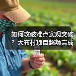 如何攻破难点实现突破？大布村项目超额完成年度目标（图4）
