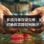 多措并举攻坚克难，如何确保项目顺利推进？（图2）