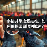 多措并举攻坚克难，如何确保项目顺利推进？（图4）