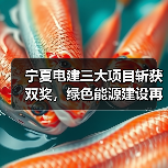 宁夏电建三大项目斩获双奖,绿色能源建设再添佳绩(图2) 宁夏电建三大项目斩获双奖,绿色能源建设再添佳绩(图2)