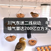 川气东送二线启动,年输气量达200亿立方米推动绿色转型 川气东送二线启动,年输气量达200亿立方米推动绿色转型