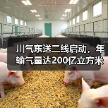 川气东送二线启动,年输气量达200亿立方米推动绿色转型(图3) 川气东送二线启动,年输气量达200亿立方米推动绿色转型(图3)