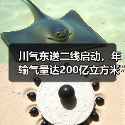 川气东送二线启动,年输气量达200亿立方米推动绿色转型(图4) 川气东送二线启动,年输气量达200亿立方米推动绿色转型(图4)