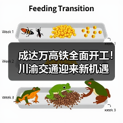 成达万高铁全面开工!川渝交通迎来新机遇 成达万高铁全面开工!川渝交通迎来新机遇