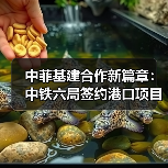 中菲基建合作新篇章:中铁六局签约港口项目(图3) 中菲基建合作新篇章:中铁六局签约港口项目(图3)
