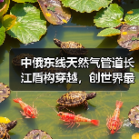 中俄东线天然气管道长江盾构穿越,创世界最长盾构隧道纪录(图2) 中俄东线天然气管道长江盾构穿越,创世界最长盾构隧道纪录(图2)