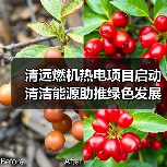 清远燃机热电项目启动 清洁能源助推绿色发展(图4) 清远燃机热电项目启动 清洁能源助推绿色发展(图4)