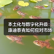 本土化与数字化升级:康迪泰克如何应对市场挑战?(图4) 本土化与数字化升级:康迪泰克如何应对市场挑战?(图4)