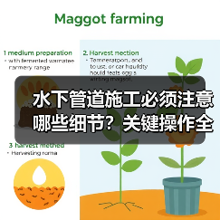 水下管道施工必须注意哪些细节？关键操作全解析（图2）