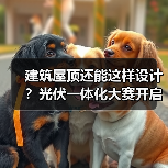 建筑屋顶还能这样设计?光伏一体化大赛开启绿色建筑新可能(图2) 建筑屋顶还能这样设计?光伏一体化大赛开启绿色建筑新可能(图2)