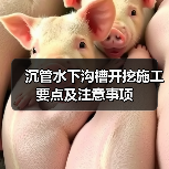 沉管水下沟槽开挖施工要点及注意事项（图3）