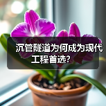沉管隧道为何成为现代工程首选？（图3）