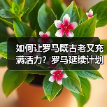 如何让罗马既古老又充满活力?罗马延续计划解析(图4) 如何让罗马既古老又充满活力?罗马延续计划解析(图4)