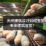 光伏建筑设计如何重塑未来建筑屋顶? 光伏建筑设计如何重塑未来建筑屋顶?