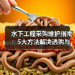 水下工程采购维护指南:5大方法解决选购与售后难题(图2) 水下工程采购维护指南:5大方法解决选购与售后难题(图2)