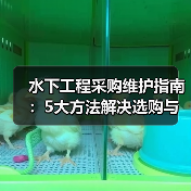 水下工程采购维护指南:5大方法解决选购与售后难题(图4) 水下工程采购维护指南:5大方法解决选购与售后难题(图4)