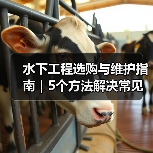 水下工程选购与维护指南｜5个方法解决常见问题