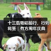 十三载砥砺前行,行则将至|有方周年庆典 十三载砥砺前行,行则将至|有方周年庆典