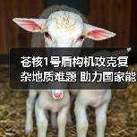 苍核1号盾构机攻克复杂地质难题 助力国家能源项目建设(图3) 苍核1号盾构机攻克复杂地质难题 助力国家能源项目建设(图3)