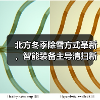 北方冬季除雪方式革新,智能装备主导清扫新格局(图3) 北方冬季除雪方式革新,智能装备主导清扫新格局(图3)