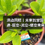 活动回顾丨未来智慧营造-巨变·流变·嬗变未来式众谈：30后未来学组2026上半年度大会暨2025WA中国建筑奖颁奖仪式（图4）