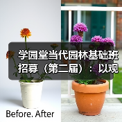 学园堂当代园林基础班招募（第二届）：以观法入造园丨推介（图4）