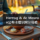 Herzog & de Meuron公布卡塔尔阿尔马哈岛总体规划（图1）