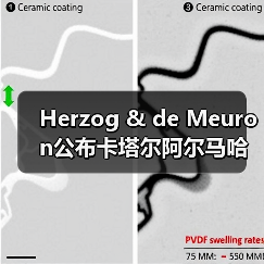 Herzog & de Meuron公布卡塔尔阿尔马哈岛总体规划（图2）