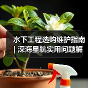 水下工程选购维护指南 | 深海星航实用问题解析2026(图3) 水下工程选购维护指南 | 深海星航实用问题解析2026(图3)