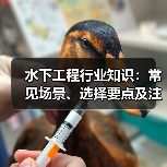水下工程行业知识:常见场景、选择要点及注意事项(图2) 水下工程行业知识:常见场景、选择要点及注意事项(图2)