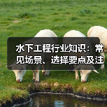 水下工程行业知识:常见场景、选择要点及注意事项(图1) 水下工程行业知识:常见场景、选择要点及注意事项(图1)