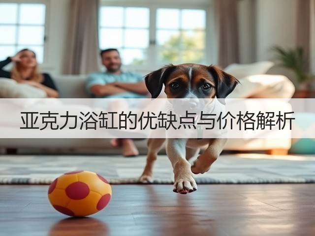亚克力浴缸的优缺点与价格解析(图3) 亚克力浴缸的优缺点与价格解析(图3)