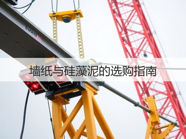 墙纸与硅藻泥的选购指南(图1) 墙纸与硅藻泥的选购指南(图1)