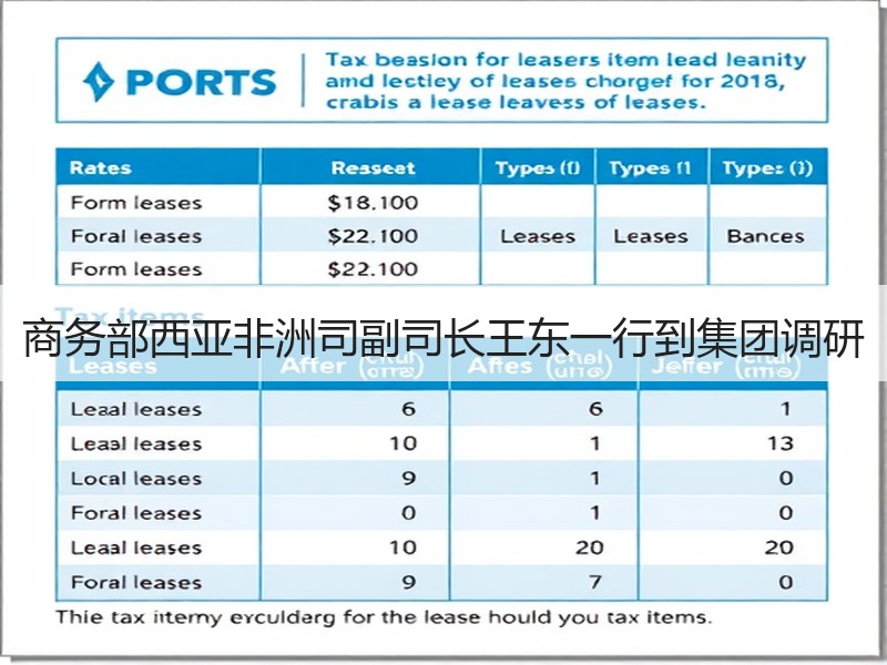商务部西亚非洲司副司长王东一行到集团调研