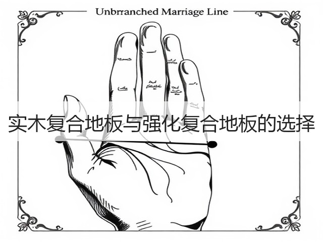 实木复合地板与强化复合地板的选择(图3) 实木复合地板与强化复合地板的选择(图3)
