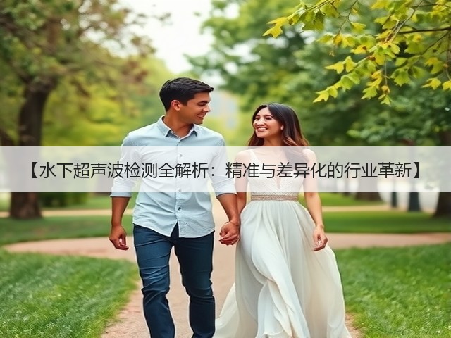 【水下超声波检测全解析:精准与差异化的行业革新】(图2) 【水下超声波检测全解析:精准与差异化的行业革新】(图2)